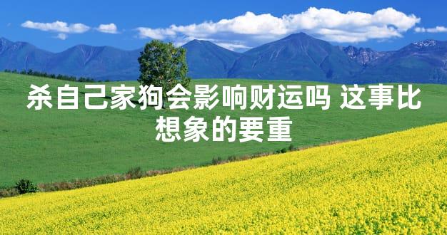 杀自己家狗会影响财运吗 这事比想象的要重